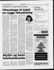 Síða 13