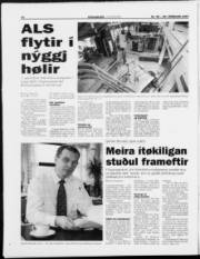 Síða 14