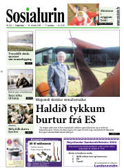 Síða 1