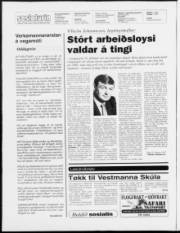 Síða 2