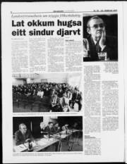 Síða 8