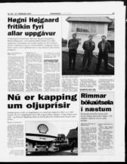 Síða 13
