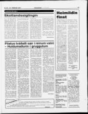 Síða 15