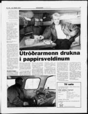 Síða 3