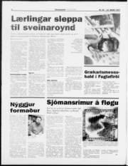 Síða 4