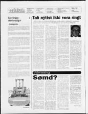 Síða 2