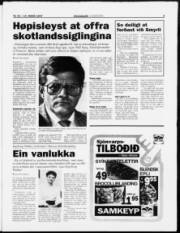 Síða 5