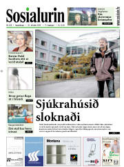 Síða 1