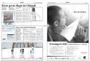 Síða 3