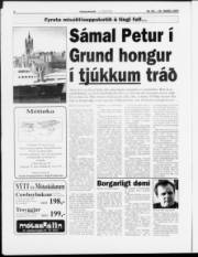 Síða 8