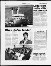 Síða 12
