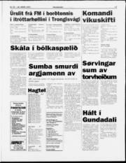 Síða 17