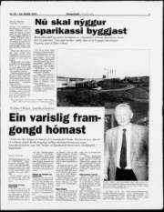 Síða 3