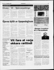 Síða 17