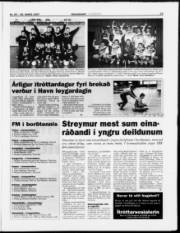 Síða 15