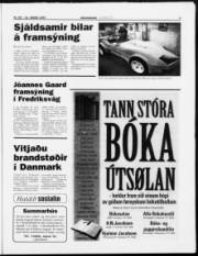 Síða 5