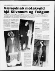 Síða 17