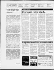 Síða 2