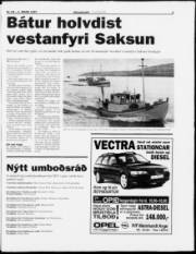 Síða 3