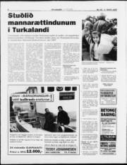 Síða 8