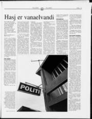 Síða 13