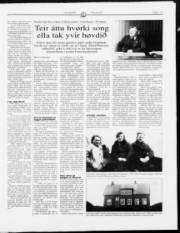Síða 15