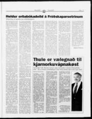 Síða 17