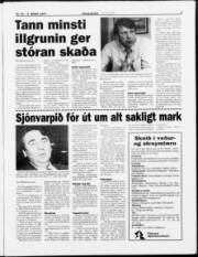 Síða 3