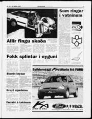 Síða 5