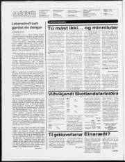 Síða 2