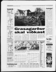 Síða 20