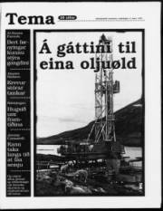 Síða 21