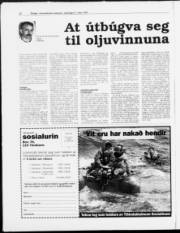 Síða 30