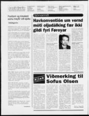 Síða 2