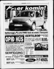 Síða 3