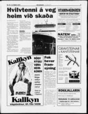 Síða 5