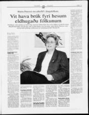 Síða 13