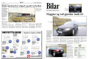 Síða 8