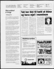 Síða 2