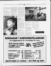 Síða 13