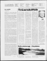 Síða 2