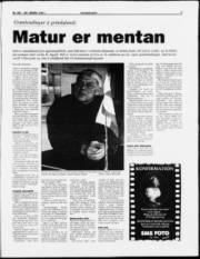 Síða 3
