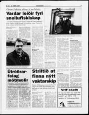 Síða 3