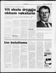 Síða 6