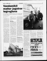 Síða 3