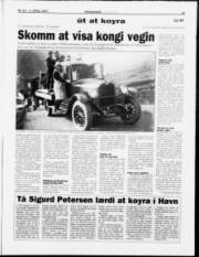 Síða 11