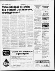 Síða 17