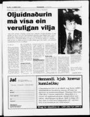 Síða 3