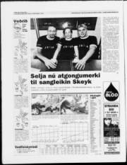 Síða 28
