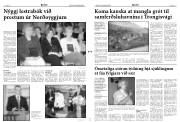 Síða 3